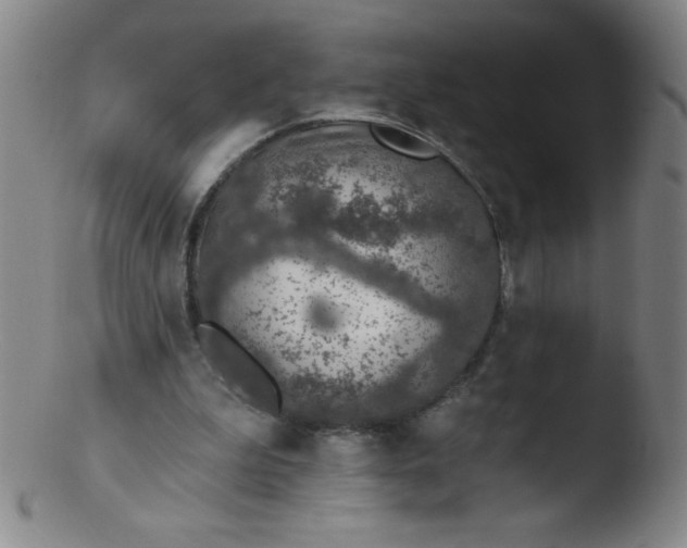 X0000103470199200809261912