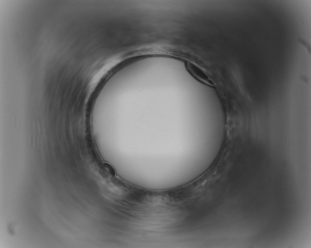 X0000103470200200809261912