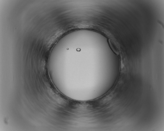 X0000103470201200809261912