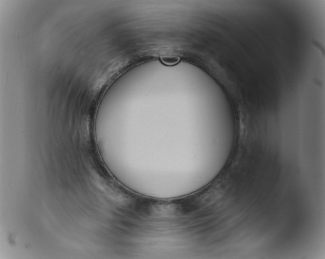 X0000103470202200809261912