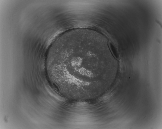 X0000103470203200809261912