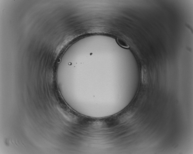 X0000103470204200809261912