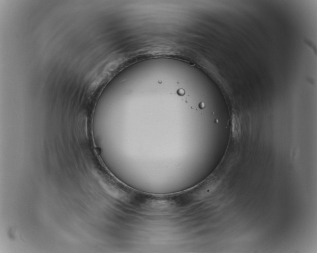 X0000103470205200809261912