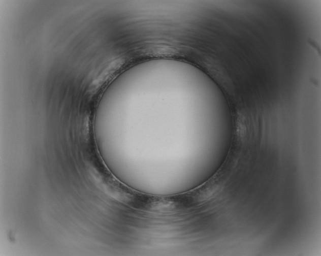 X0000103470206200809261912