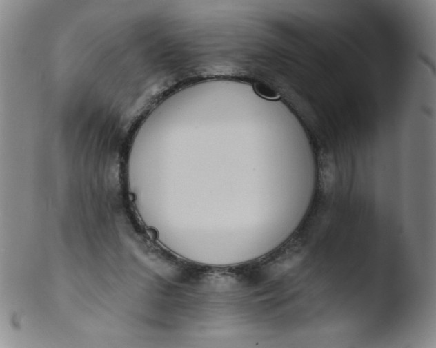 X0000103470207200809261912