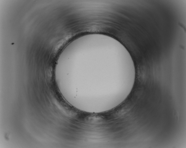 X0000103470208200809261912