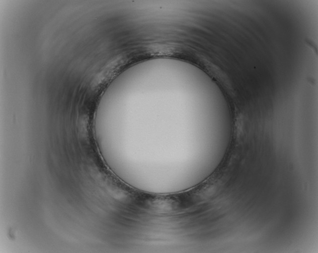 X0000103470209200809261912