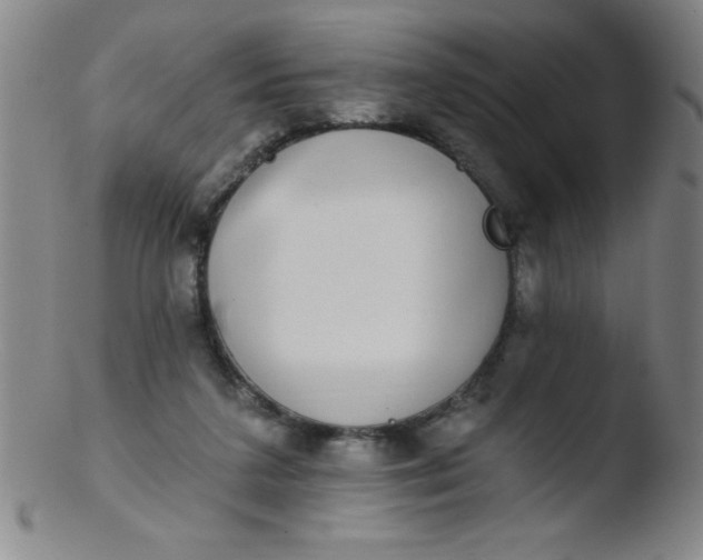 X0000103470211200809261912