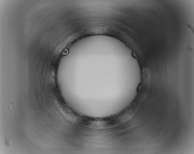 X0000103470212200809261912