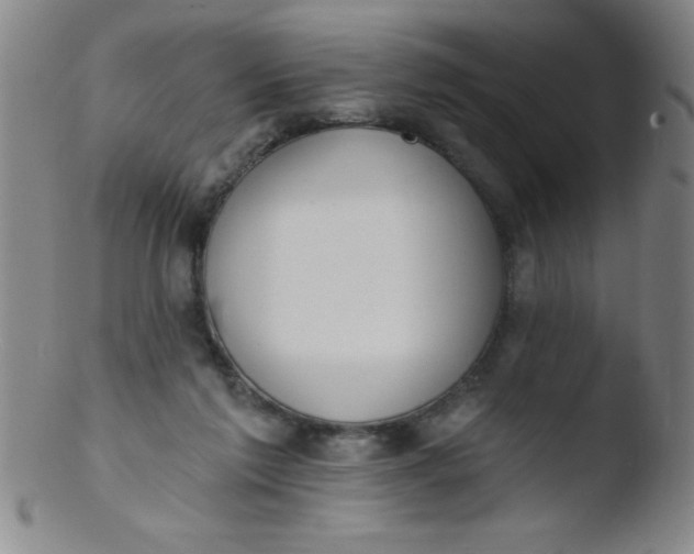 X0000103470213200809261912