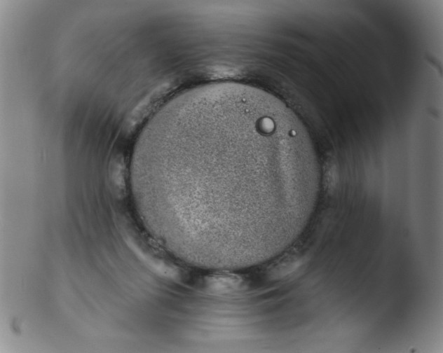 X0000103470215200809261912