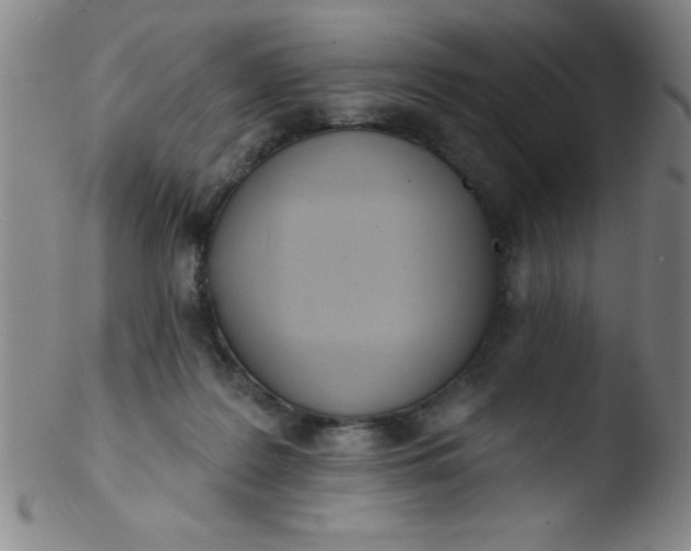 X0000103470219200809261912