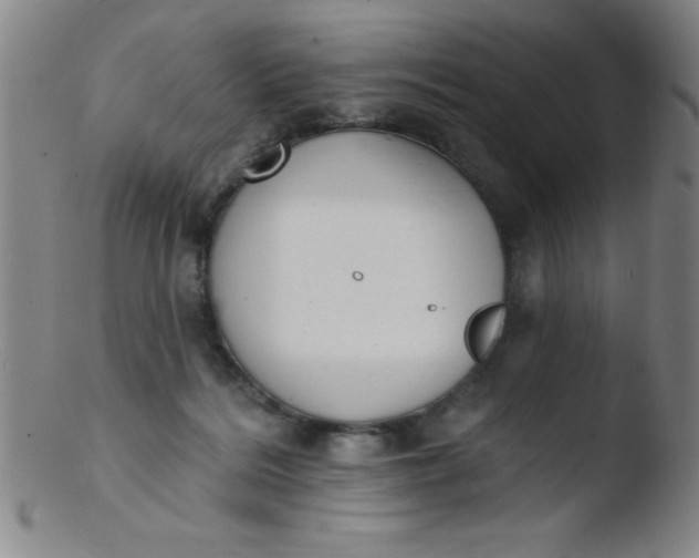 X0000103470220200809261912