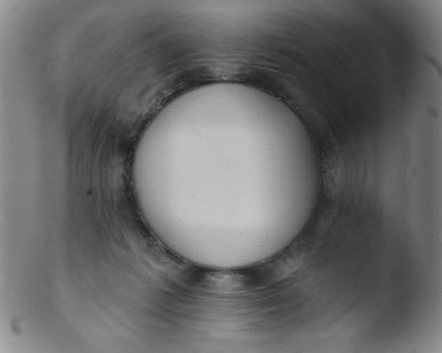 X0000103470221200809261912