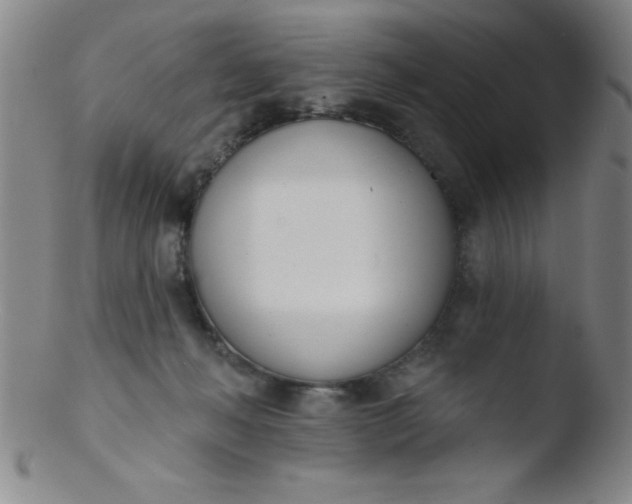 X0000103470222200809261912