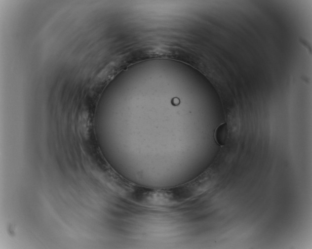 X0000103470223200809261912