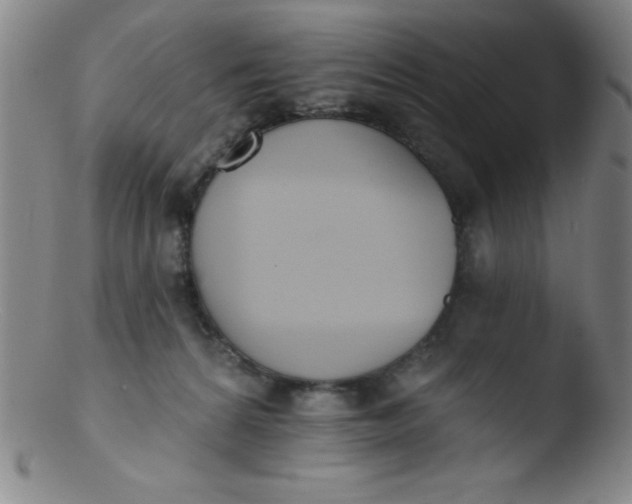 X0000103470224200809261912