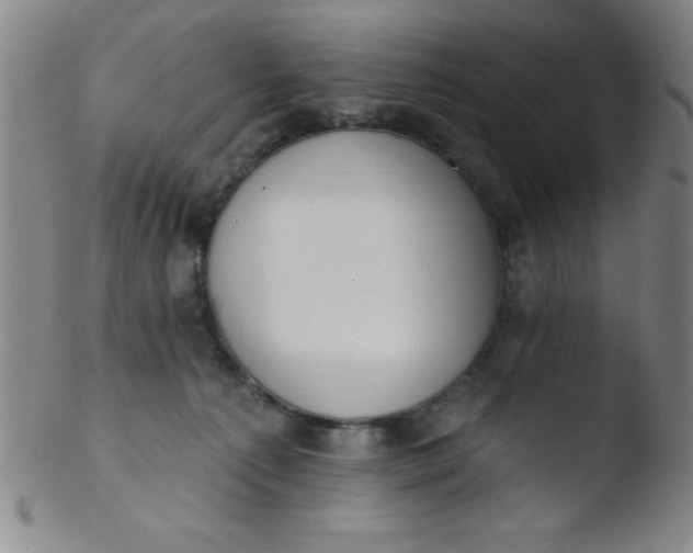 X0000103470225200809261912