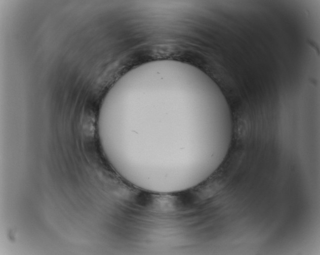 X0000103470226200809261912