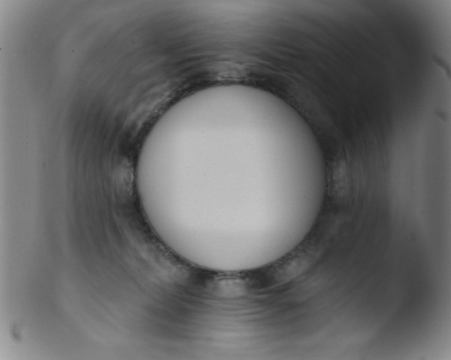 X0000103470228200809261912