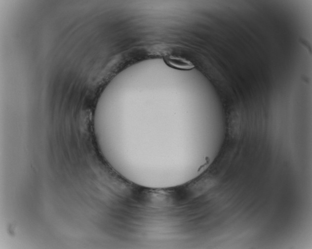 X0000103470229200809261912