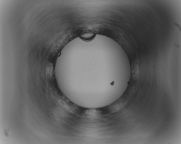 X0000103470231200809261912