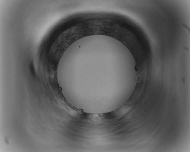 X0000103470239200809261911