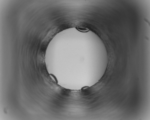 X0000103470240200809261911