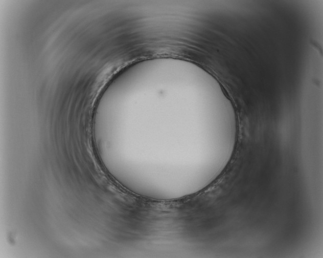 X0000103470241200809261911