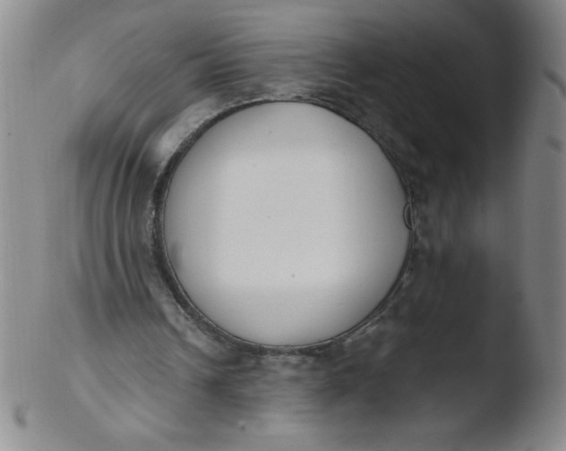 X0000103470242200809261911