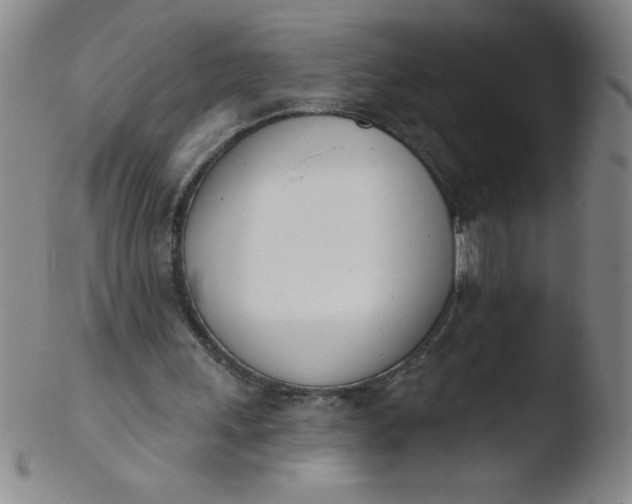 X0000103470243200809261911