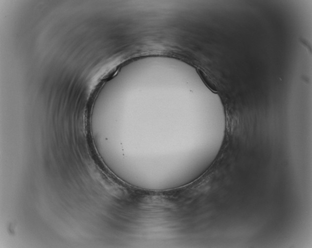 X0000103470244200809261911