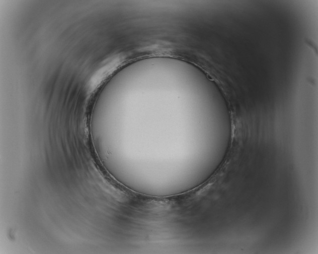 X0000103470245200809261911