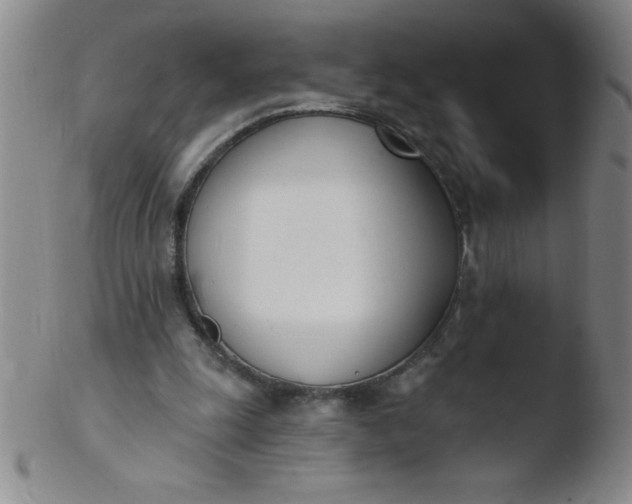 X0000103470247200809261911