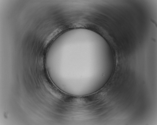 X0000103470250200809261911