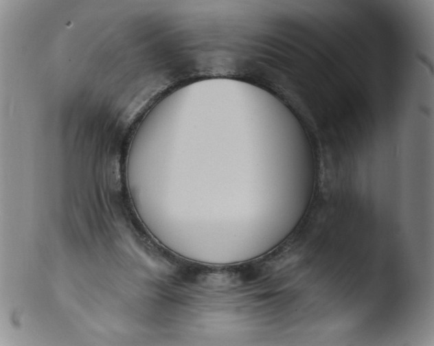 X0000103470251200809261911