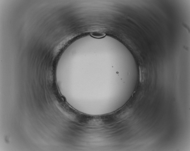 X0000103470252200809261911