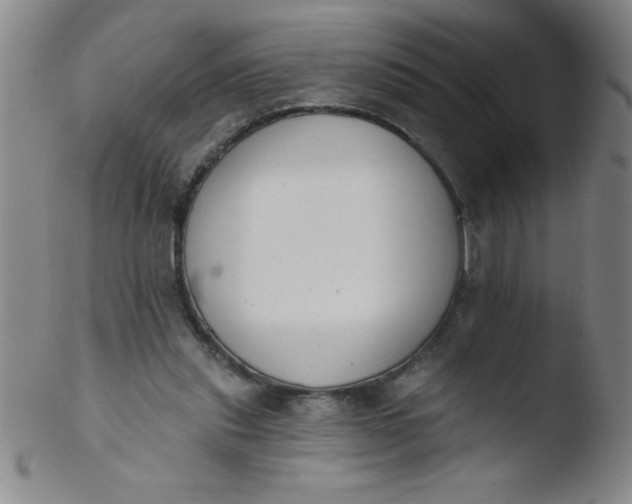 X0000103470253200809261911