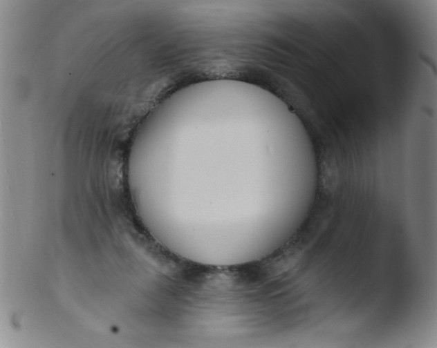 X0000103470259200809261911