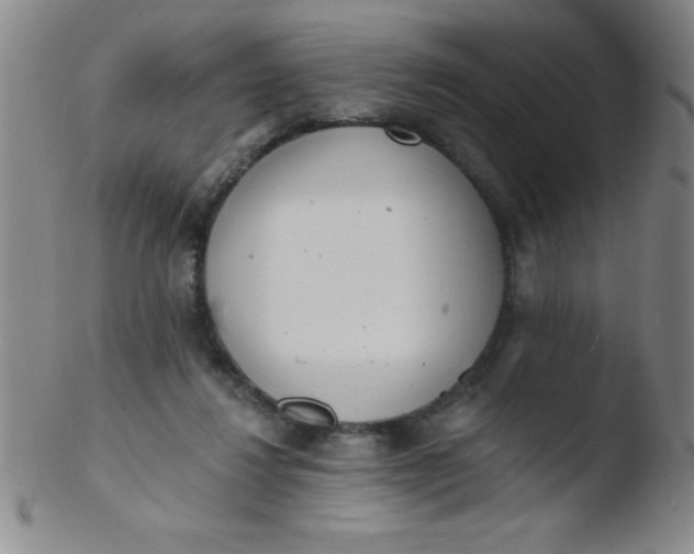 X0000103470260200809261911