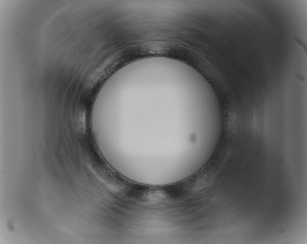 X0000103470262200809261911