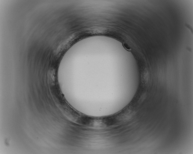 X0000103470264200809261911