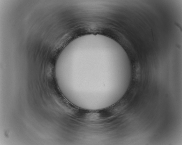 X0000103470266200809261911