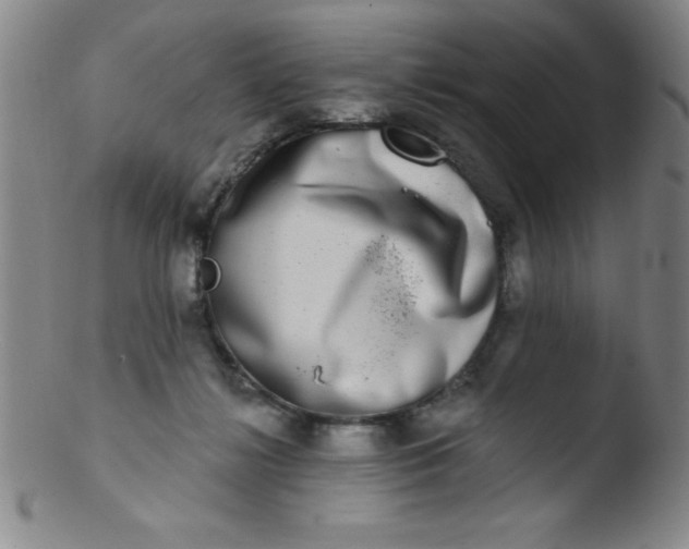 X0000103470268200809261911