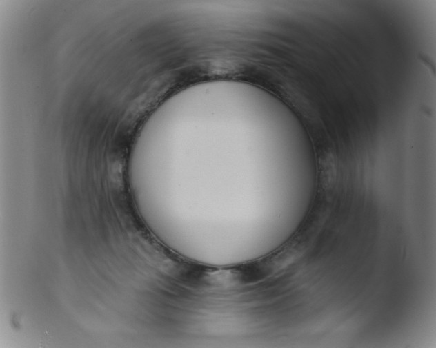 X0000103470269200809261911