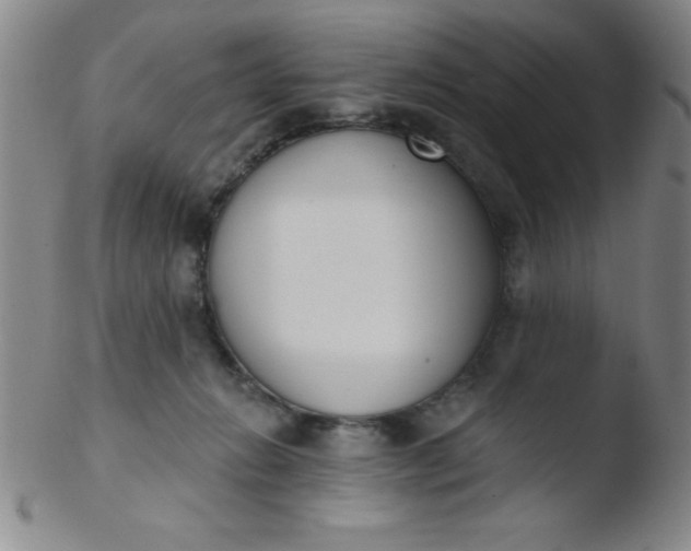 X0000103470270200809261911