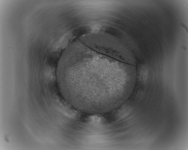 X0000103470272200809261911