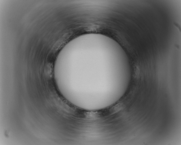 X0000103470273200809261911