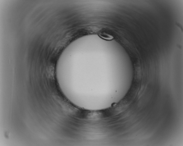 X0000103470274200809261911