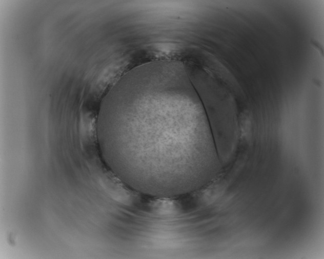 X0000103470276200809261911